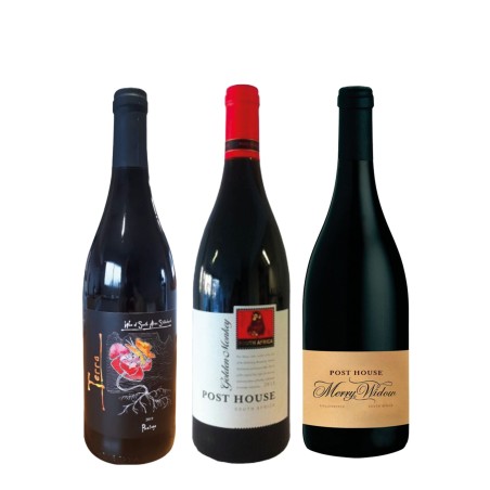 Cap sur l'Afrique du Sud - Coffret 3 bouteilles