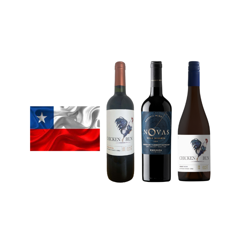 Vins Chiliens - Coffret 3 bouteilles