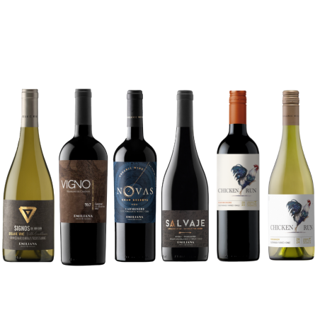 Domaine Emiliana - Coffret 6 vins du Chili