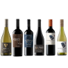 Domaine Emiliana - Coffret 6 vins du Chili