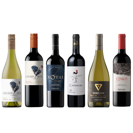 Coffret Plaisir - Vins du Chili