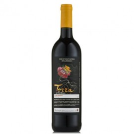 Vin Sud Africain - TERRA BY FS - Shiraz - 2013