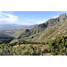 DU TOITSKLOOF- Hanepoot Jerepigo- 2014