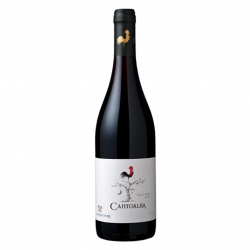 CANTOABA PINOT NOIR - LA...