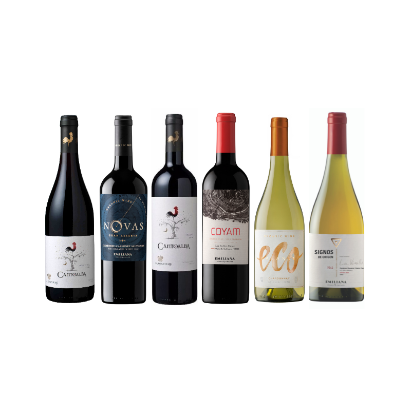 coffret plaisir vins du chili