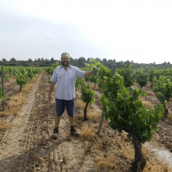 Sebastian, le vigneron