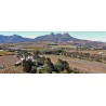 POST HOUSE - Golden Monkey - Vin Afrique du Sud