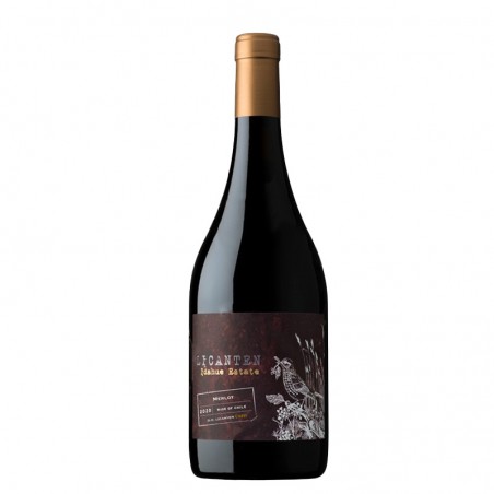 LICANTEN MERLOT - LA RONCIERE - 2021 - VIN DU CHILI