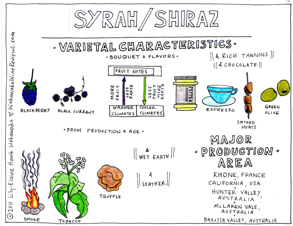 syrah-shiraz