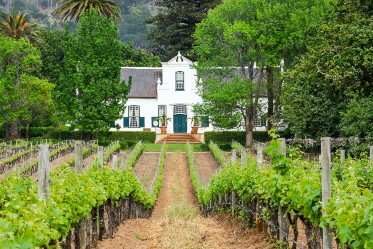domaine Afrique du Sud