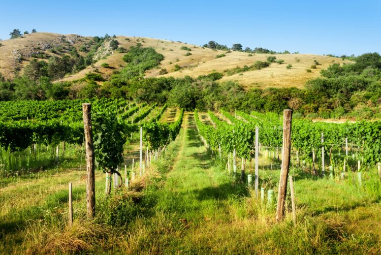 Région la Rioja